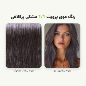 رنگ مو پرویت شماره 1/1 سری خاکستری رنگ مشکی پرکلاغی حجم 120 میلی لیتر