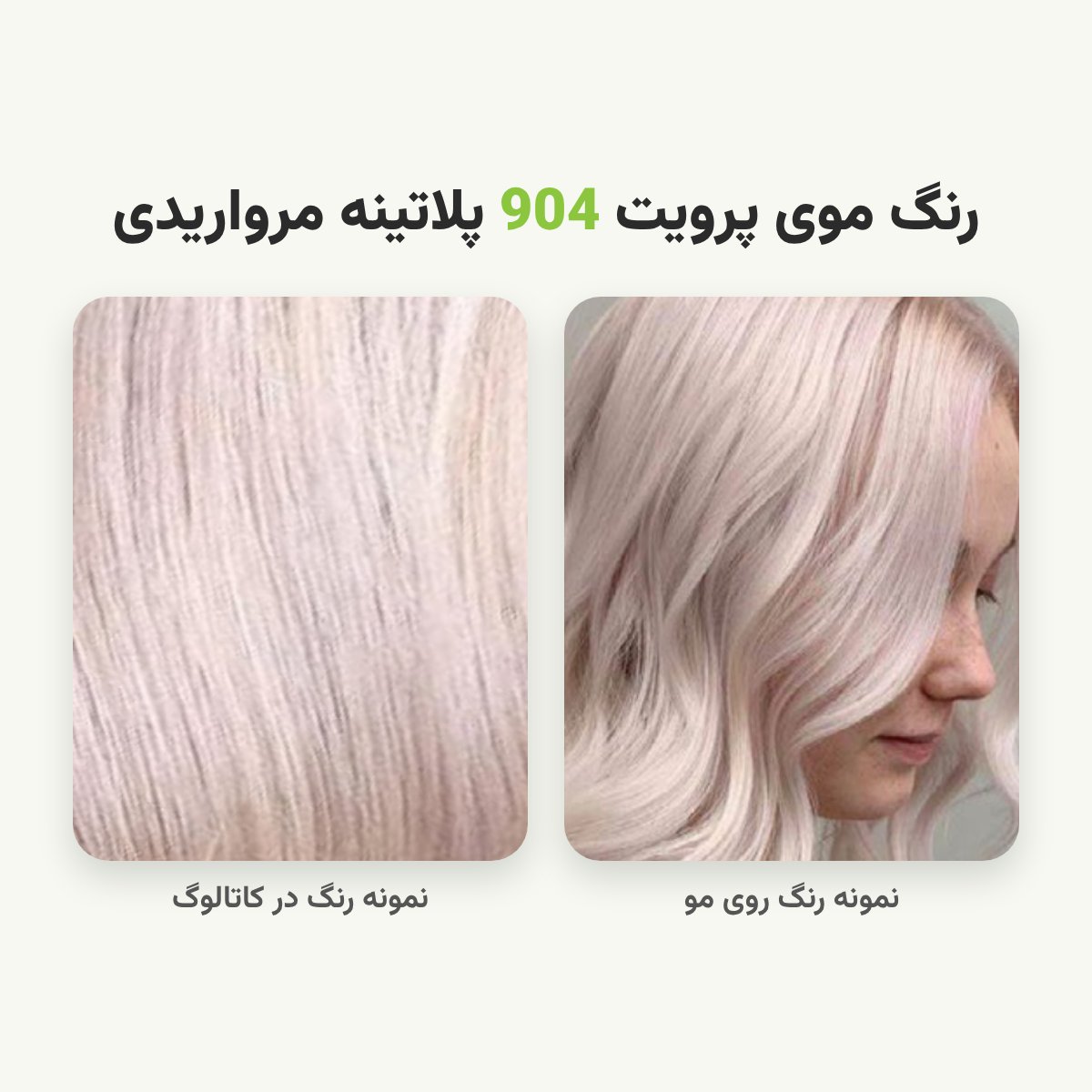 رنگ مو پرویت شماره 904 سری هایلایت رنگ پلاتینه مرواریدی حجم 120 میلی لیتر
